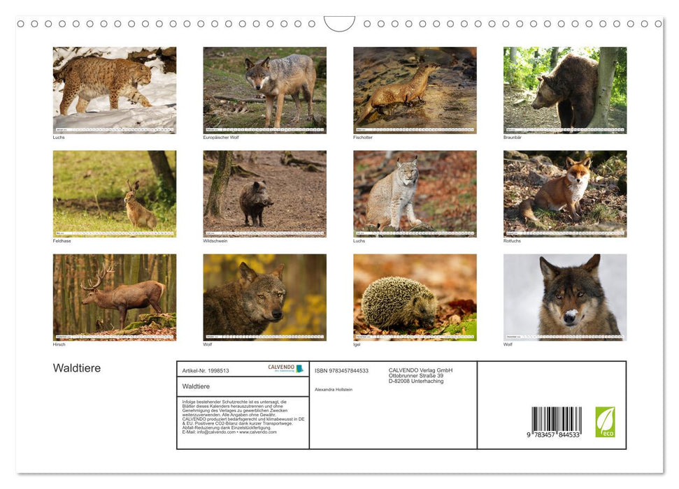 Waldtiere (CALVENDO Wandkalender 2026)