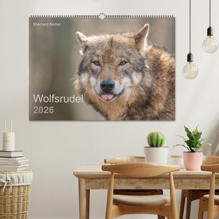 Wolfsrudel (CALVENDO Wandkalender 2026)