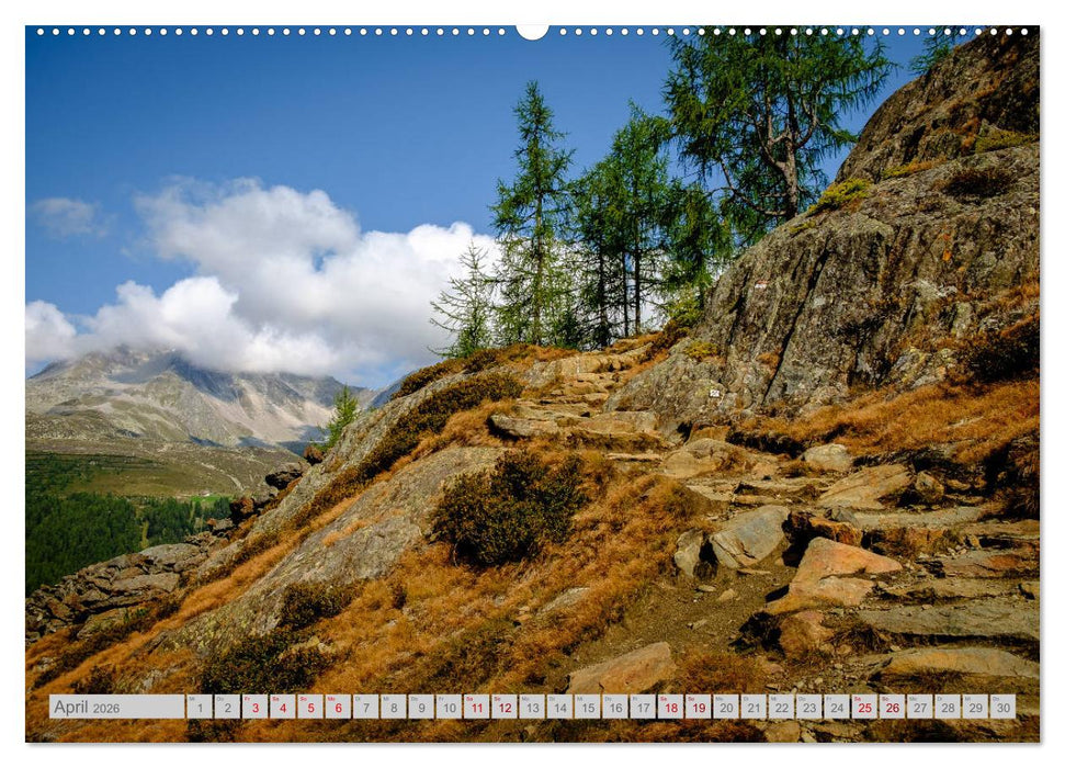 Das Ahrntal (CALVENDO Wandkalender 2026)