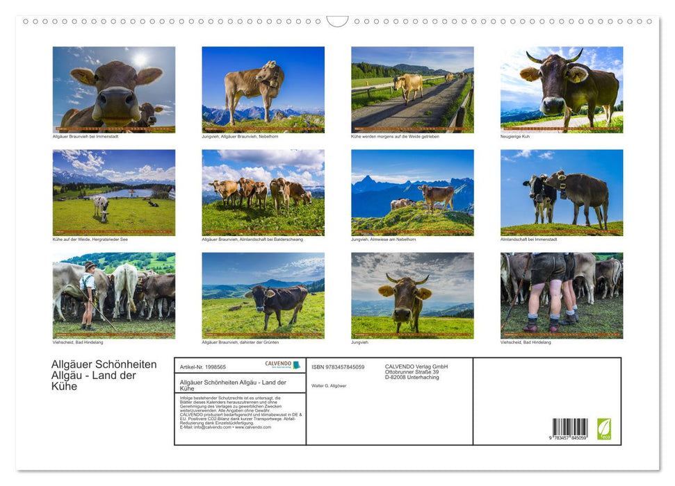 Allgäuer Schönheiten Allgäu - Land der Kühe (CALVENDO Wandkalender 2026)