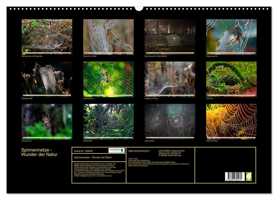 Spinnennetze - Wunder der Natur (CALVENDO Wandkalender 2026)
