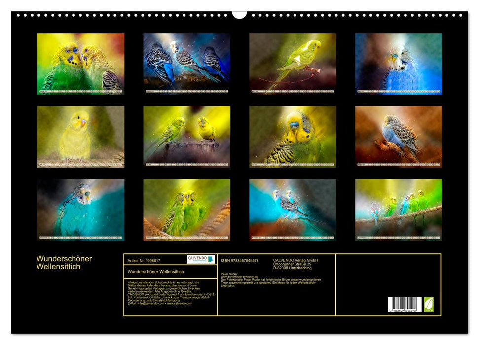 Wunderschöner Wellensittich (CALVENDO Wandkalender 2026)