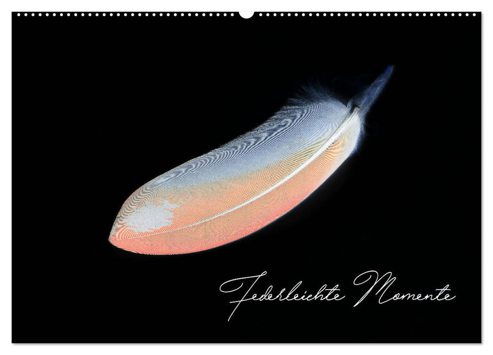 Federleichte Momente (CALVENDO Wandkalender 2026)