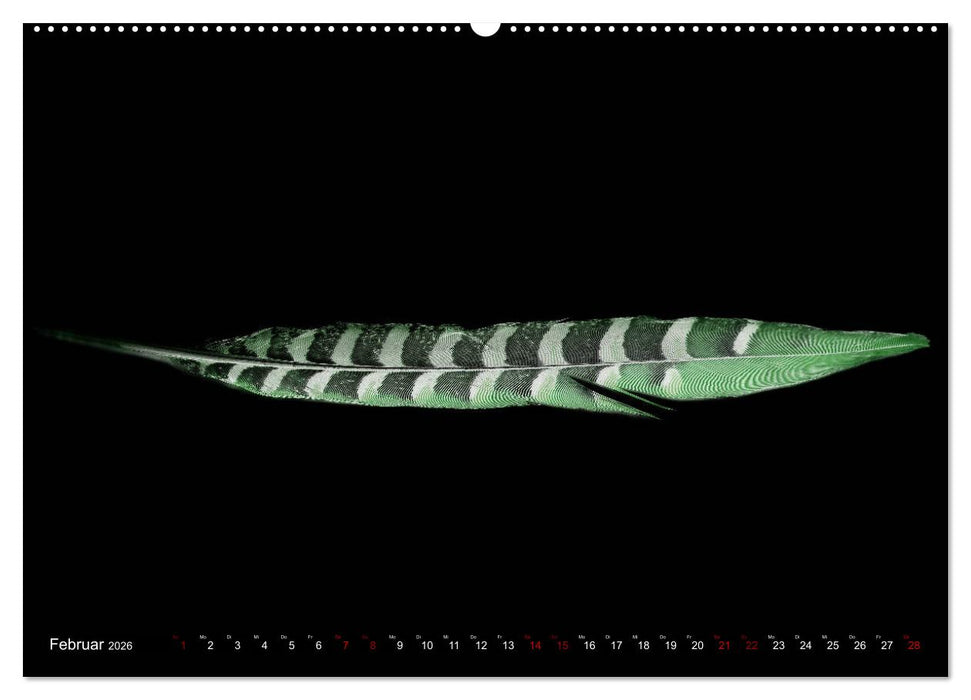 Federleichte Momente (CALVENDO Wandkalender 2026)