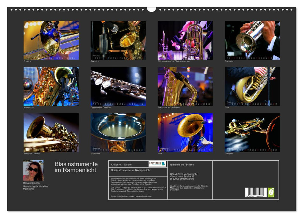 Blasinstrumente im Rampenlicht (CALVENDO Wandkalender 2026)