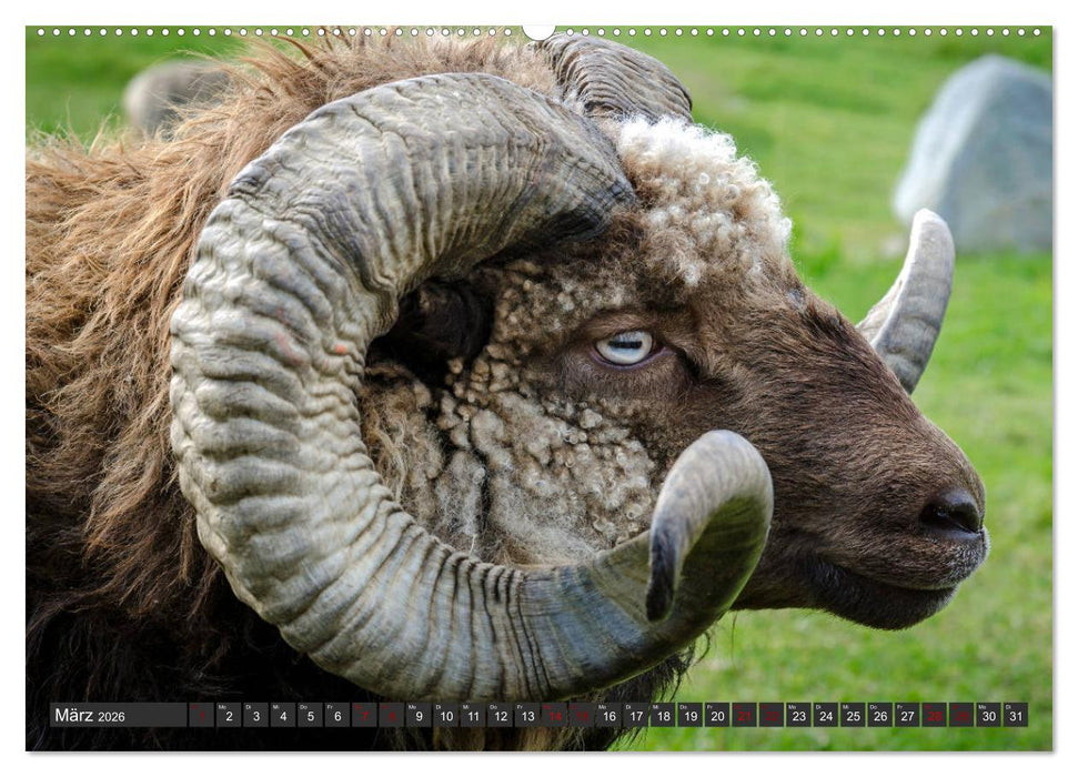 Norwegen, Oppland (CALVENDO Wandkalender 2026)