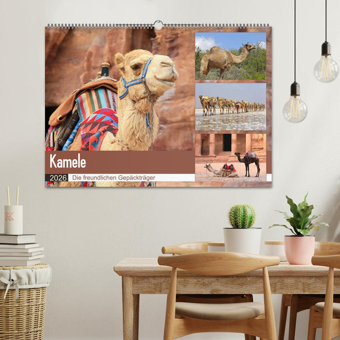 Kamele - Die freundlichen Gepäckträger (CALVENDO Wandkalender 2026)