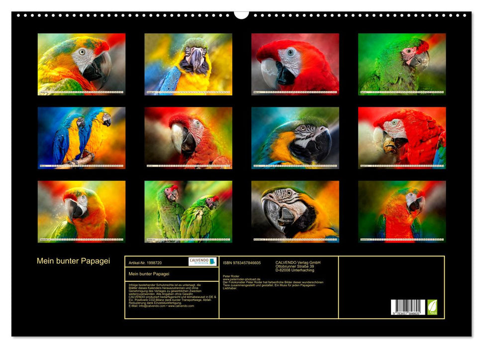 Mein bunter Papagei (CALVENDO Wandkalender 2026)