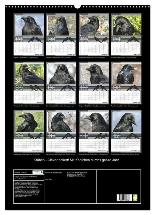 Krähen - Clever notiert! Mit Köpfchen durchs ganze Jahr (CALVENDO Wandkalender 2026)