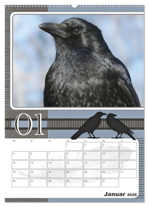 Krähen - Clever notiert! Mit Köpfchen durchs ganze Jahr (CALVENDO Wandkalender 2026)