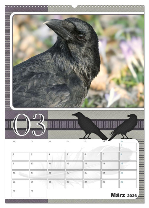 Krähen - Clever notiert! Mit Köpfchen durchs ganze Jahr (CALVENDO Wandkalender 2026)