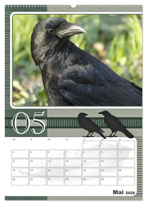 Krähen - Clever notiert! Mit Köpfchen durchs ganze Jahr (CALVENDO Wandkalender 2026)