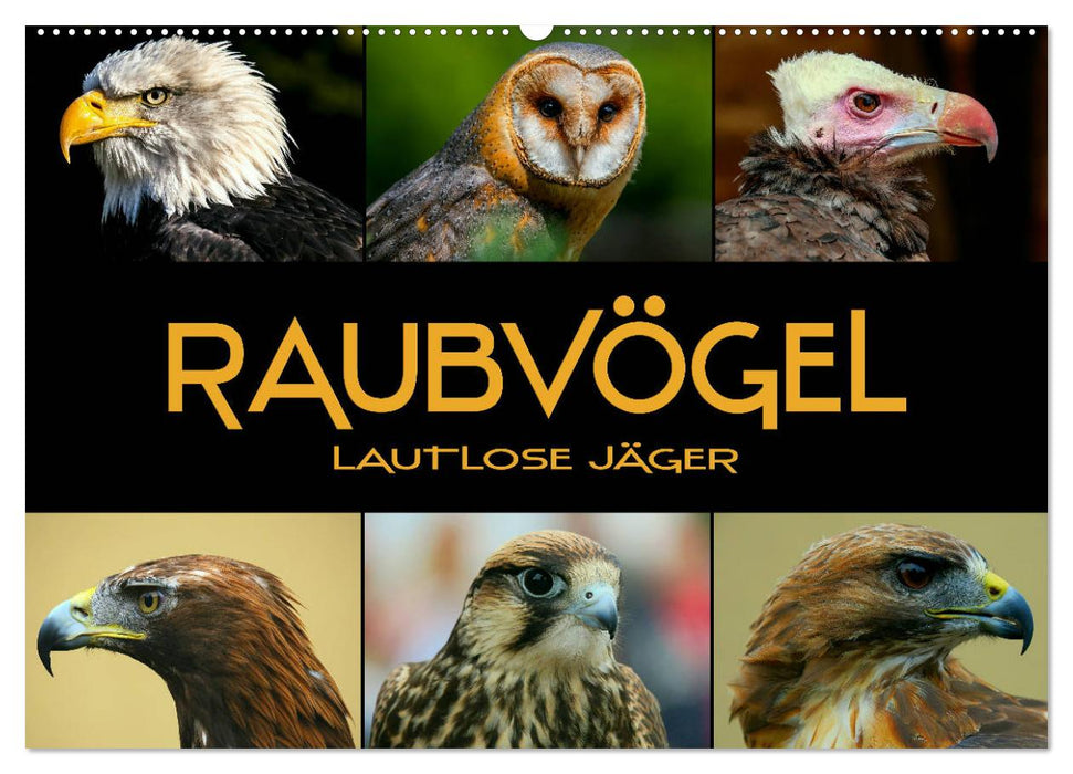 Raubvögel - lautlose Jäger (CALVENDO Wandkalender 2026)