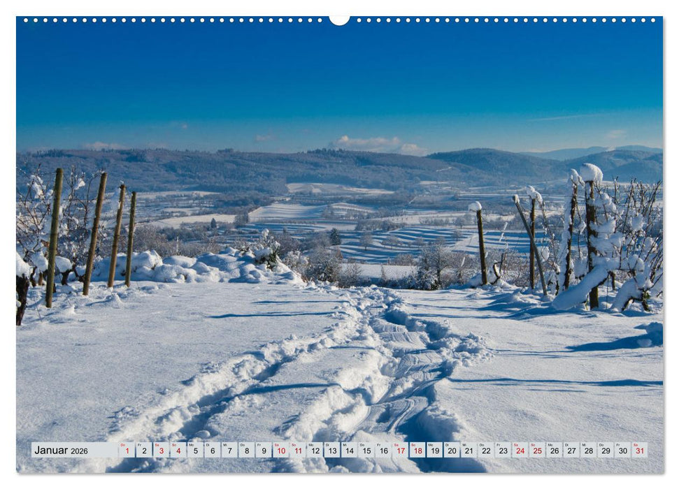 Weinregion Kaiserstuhl (CALVENDO Wandkalender 2026)