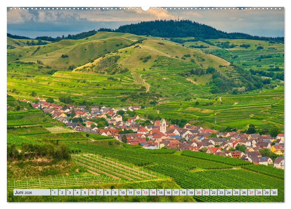 Weinregion Kaiserstuhl (CALVENDO Wandkalender 2026)