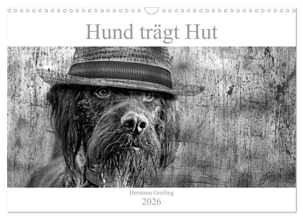 Hund trägt Hut (CALVENDO Wandkalender 2026)