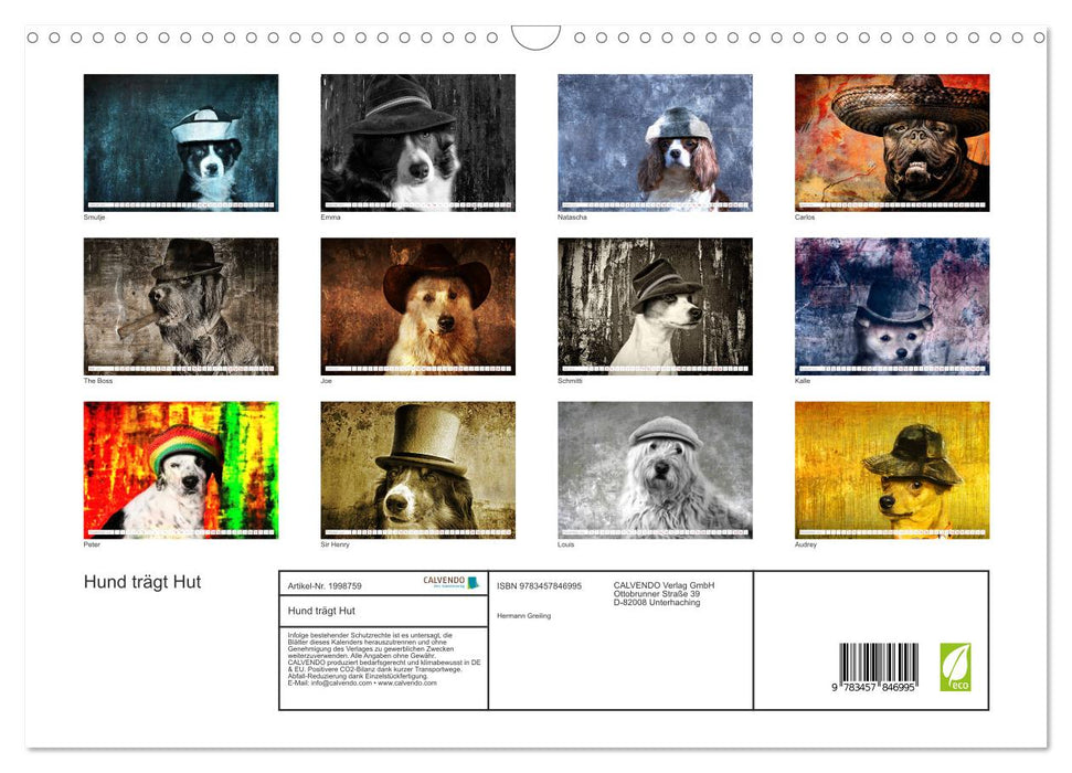 Hund trägt Hut (CALVENDO Wandkalender 2026)
