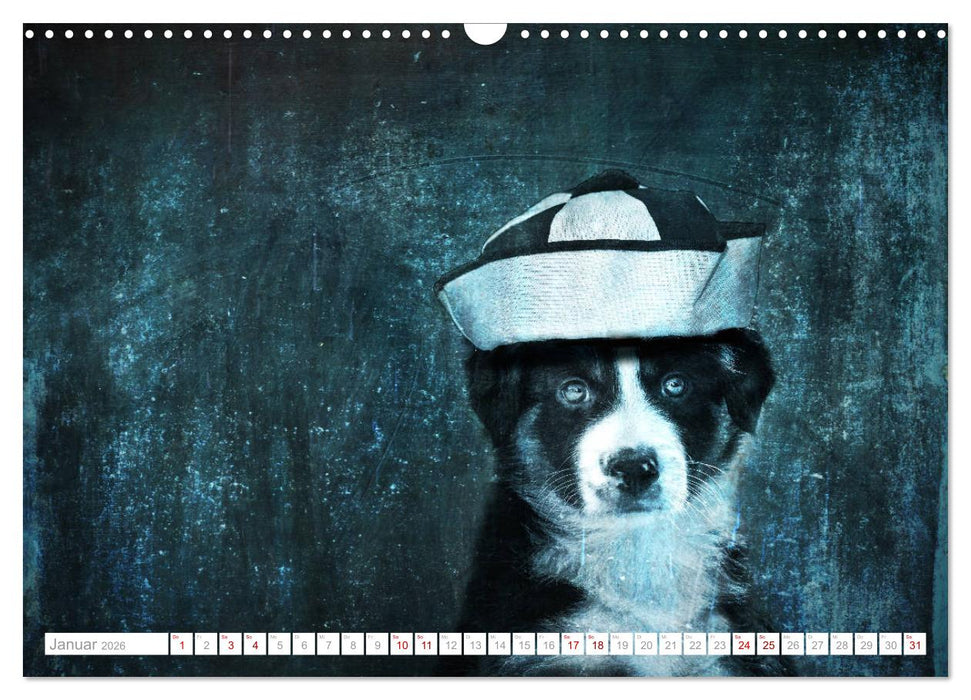 Hund trägt Hut (CALVENDO Wandkalender 2026)