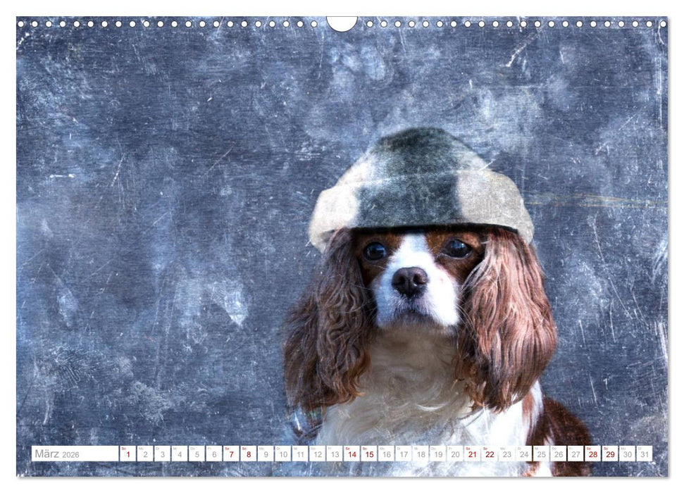 Hund trägt Hut (CALVENDO Wandkalender 2026)