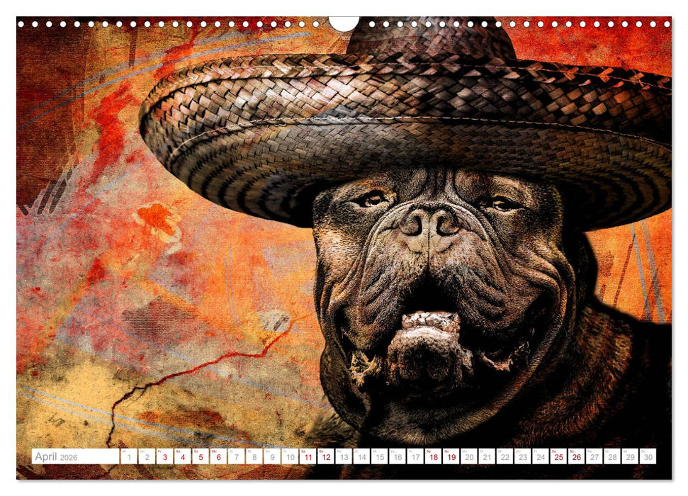 Hund trägt Hut (CALVENDO Wandkalender 2026)