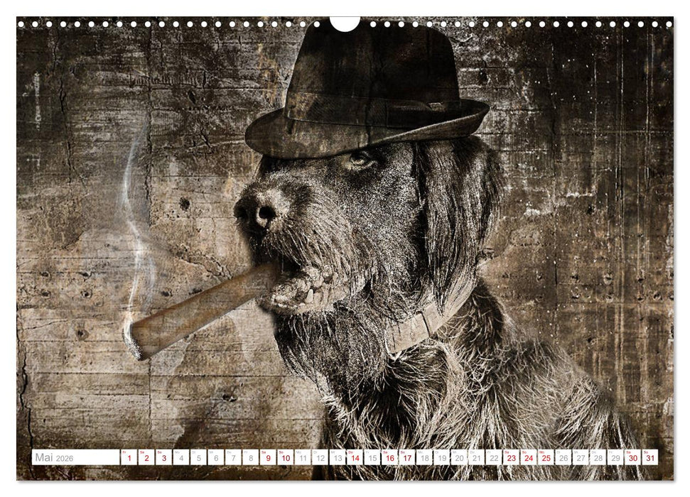 Hund trägt Hut (CALVENDO Wandkalender 2026)