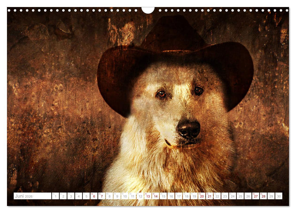 Hund trägt Hut (CALVENDO Wandkalender 2026)