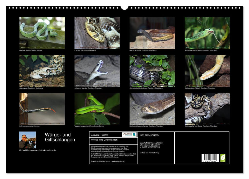Würge- und Giftschlangen (CALVENDO Wandkalender 2026)