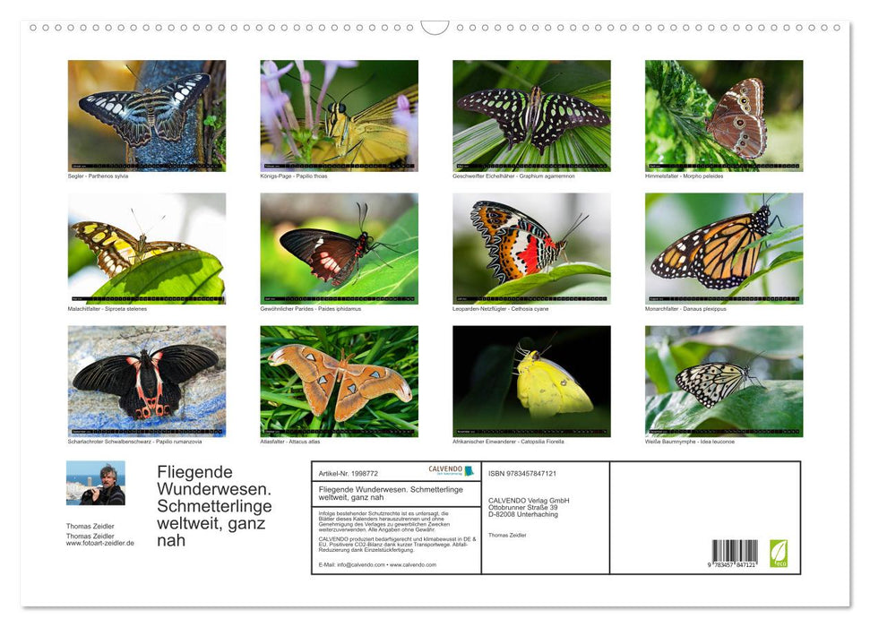 Fliegende Wunderwesen. Schmetterlinge weltweit, ganz nah (CALVENDO Wandkalender 2026)