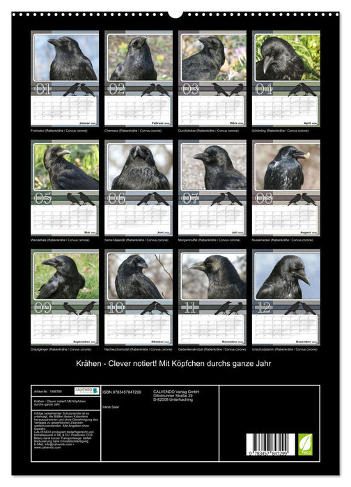 Krähen - Clever notiert! Mit Köpfchen durchs ganze Jahr (CALVENDO Premium Wandkalender 2026)