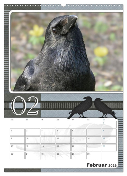 Krähen - Clever notiert! Mit Köpfchen durchs ganze Jahr (CALVENDO Premium Wandkalender 2026)