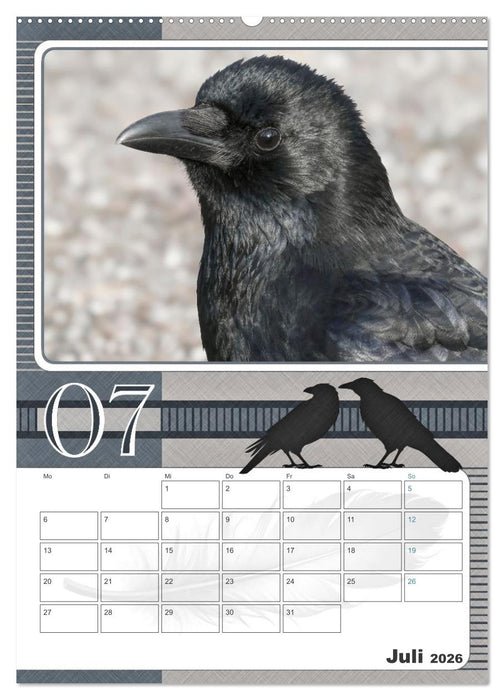 Krähen - Clever notiert! Mit Köpfchen durchs ganze Jahr (CALVENDO Premium Wandkalender 2026)