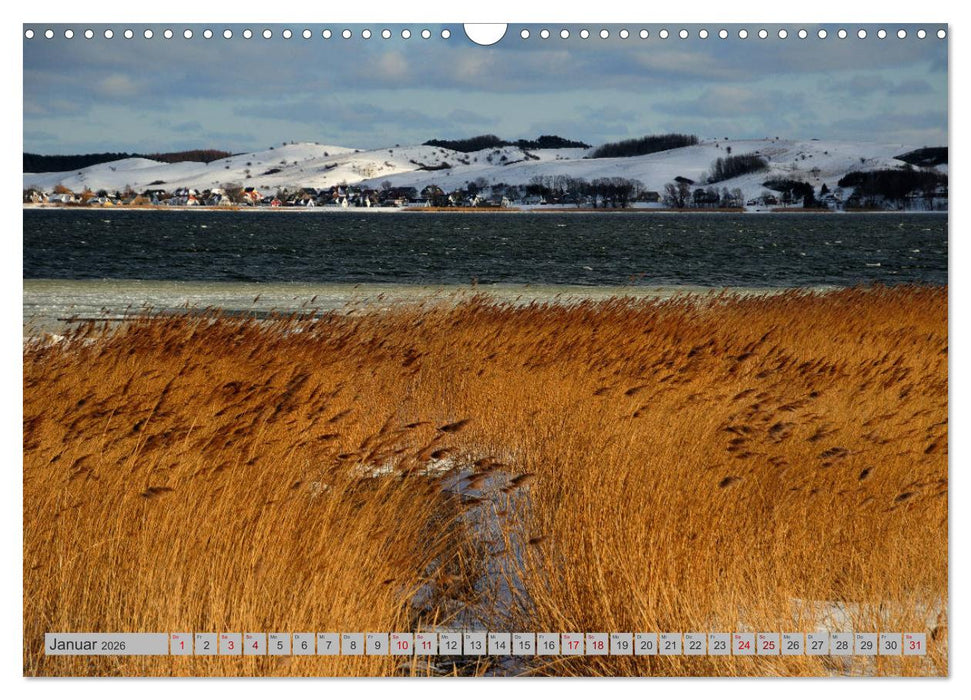 Halbinsel Mönchgut - Rügens schönste Seite (CALVENDO Wandkalender 2026)