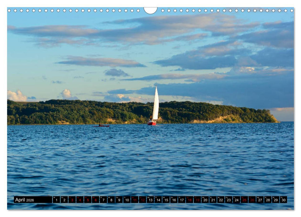 Halbinsel Mönchgut - Rügens schönste Seite (CALVENDO Wandkalender 2026)