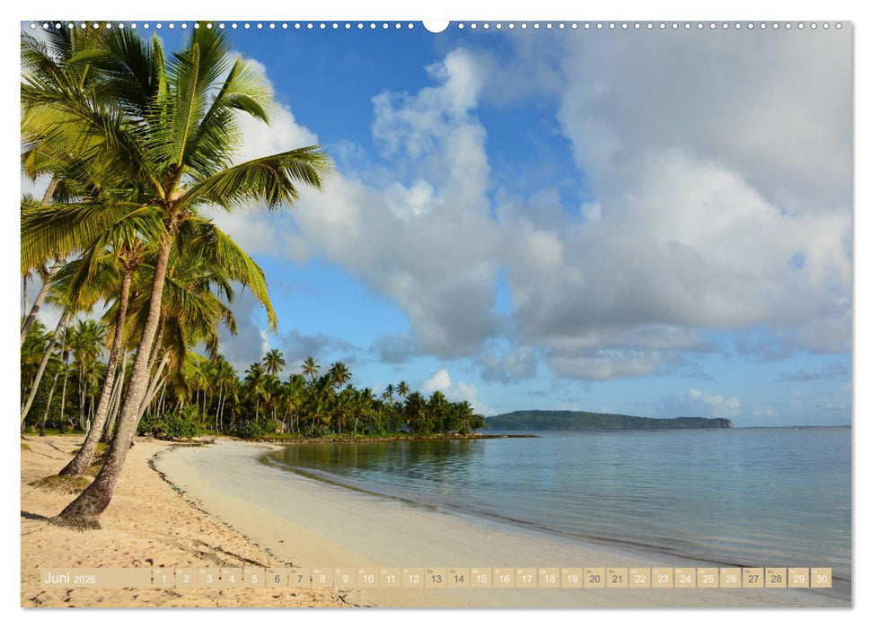 Samana - Palmen und Strände (CALVENDO Wandkalender 2026)