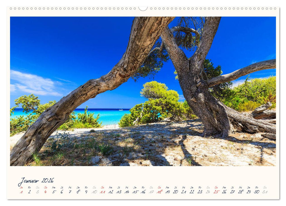 Korsika - Traumhafte Küsten am Mittelmeer (CALVENDO Wandkalender 2026)