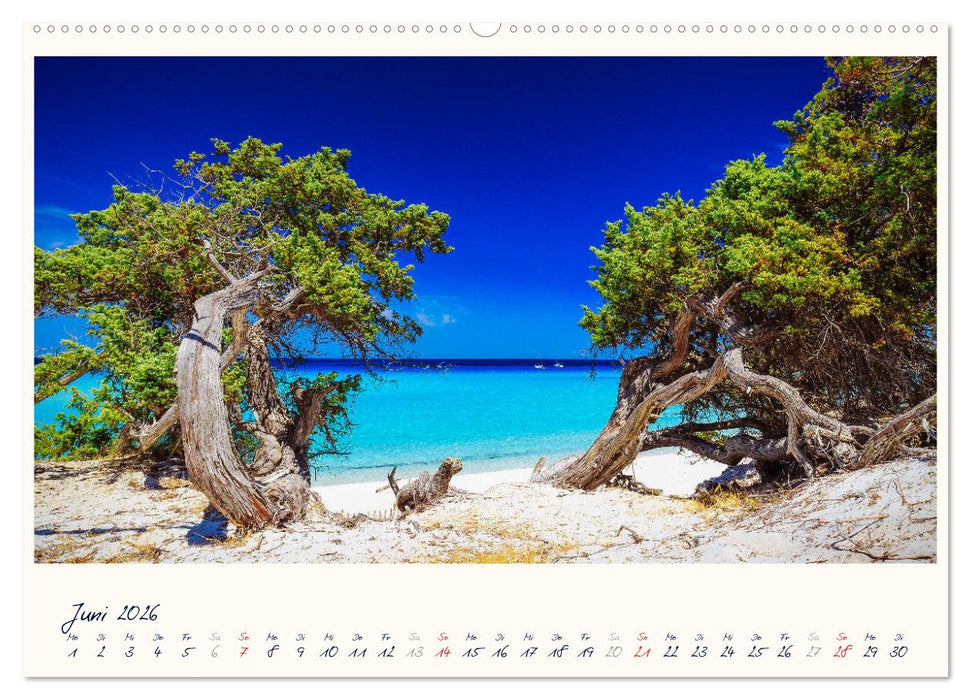 Korsika - Traumhafte Küsten am Mittelmeer (CALVENDO Wandkalender 2026)