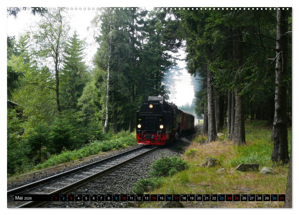 Dampf am Brocken - Die Harzquerbahn (CALVENDO Wandkalender 2026)