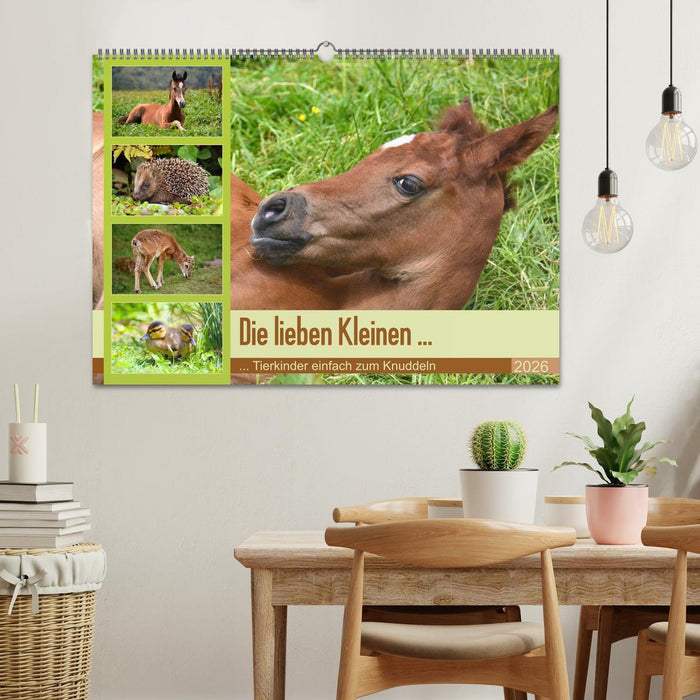 Die lieben Kleinen ... Tierkinder einfach zum Knuddeln (CALVENDO Wandkalender 2026)