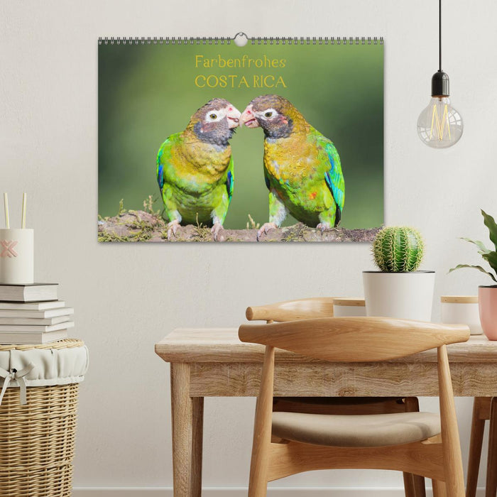 Farbenfrohes Costa Rica (CALVENDO Wandkalender 2026)