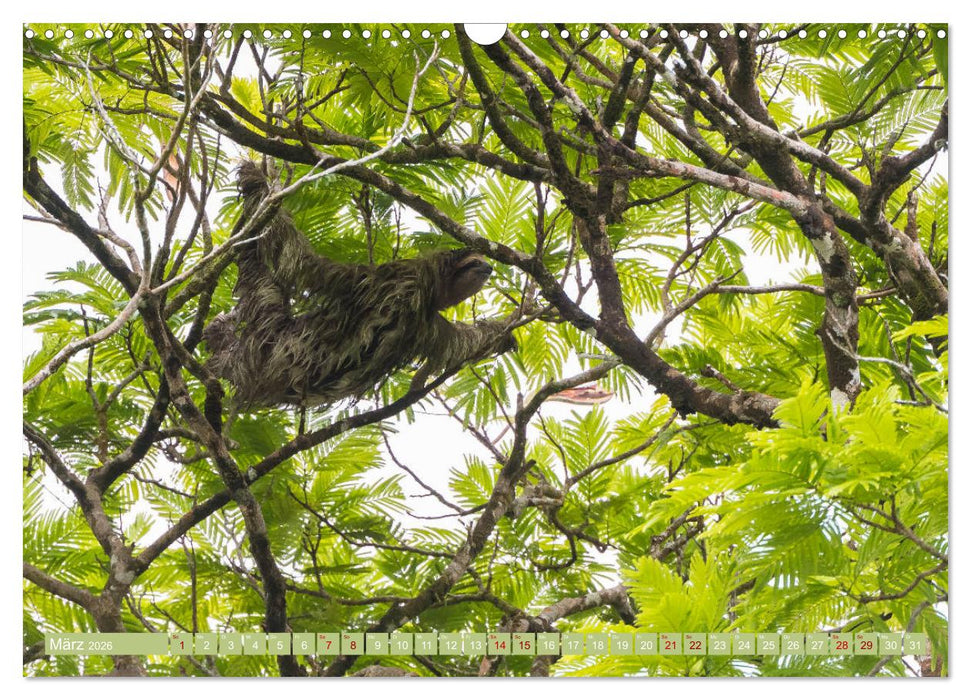 Farbenfrohes Costa Rica (CALVENDO Wandkalender 2026)