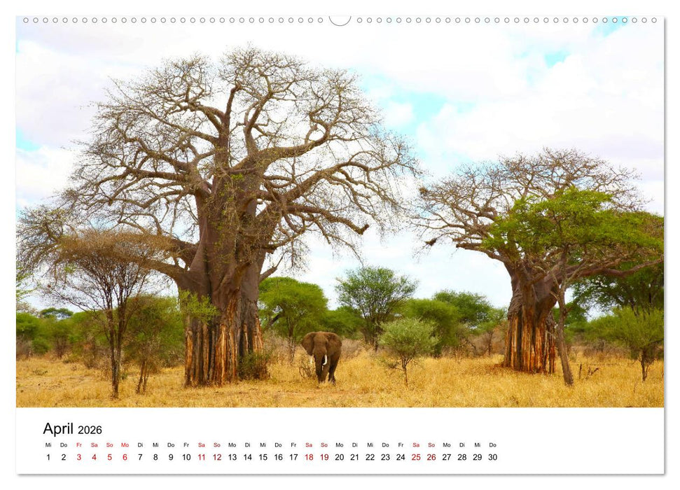 Blickpunkte Tansanias (CALVENDO Wandkalender 2026)