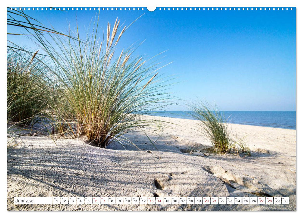Traumstrände an Deutschlands Küsten (CALVENDO Wandkalender 2026)