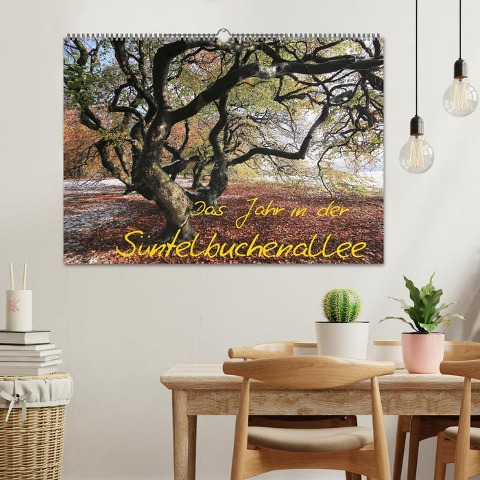 Das Jahr in der Süntelbuchenallee (CALVENDO Wandkalender 2026)