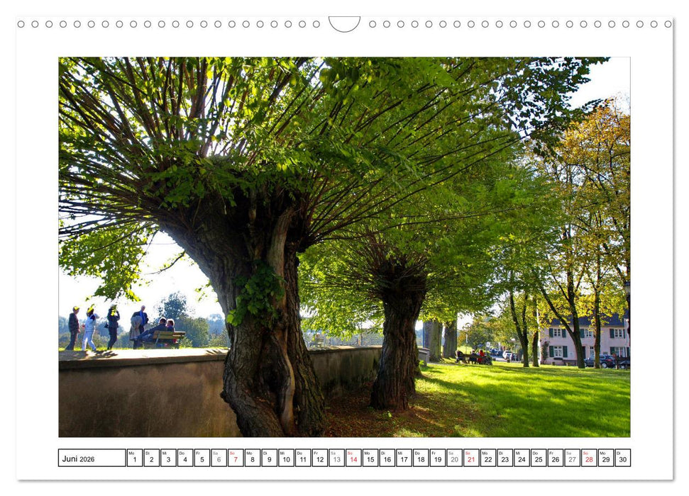 Am Niederrhein. Der Altkreis Moers (CALVENDO Wandkalender 2026)