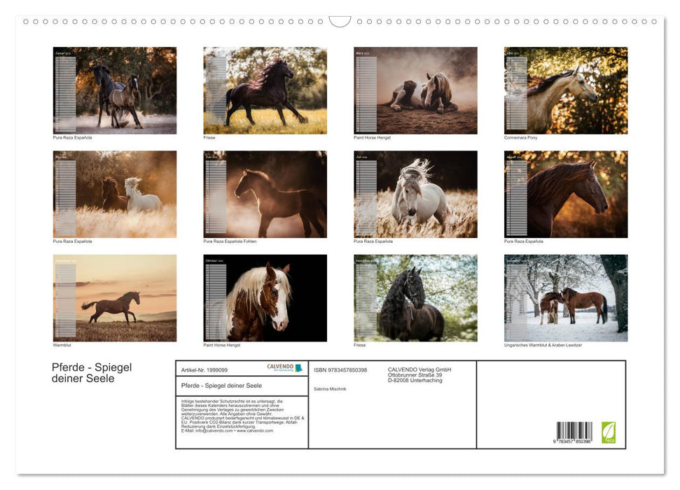 Pferde - Spiegel deiner Seele (CALVENDO Wandkalender 2026)