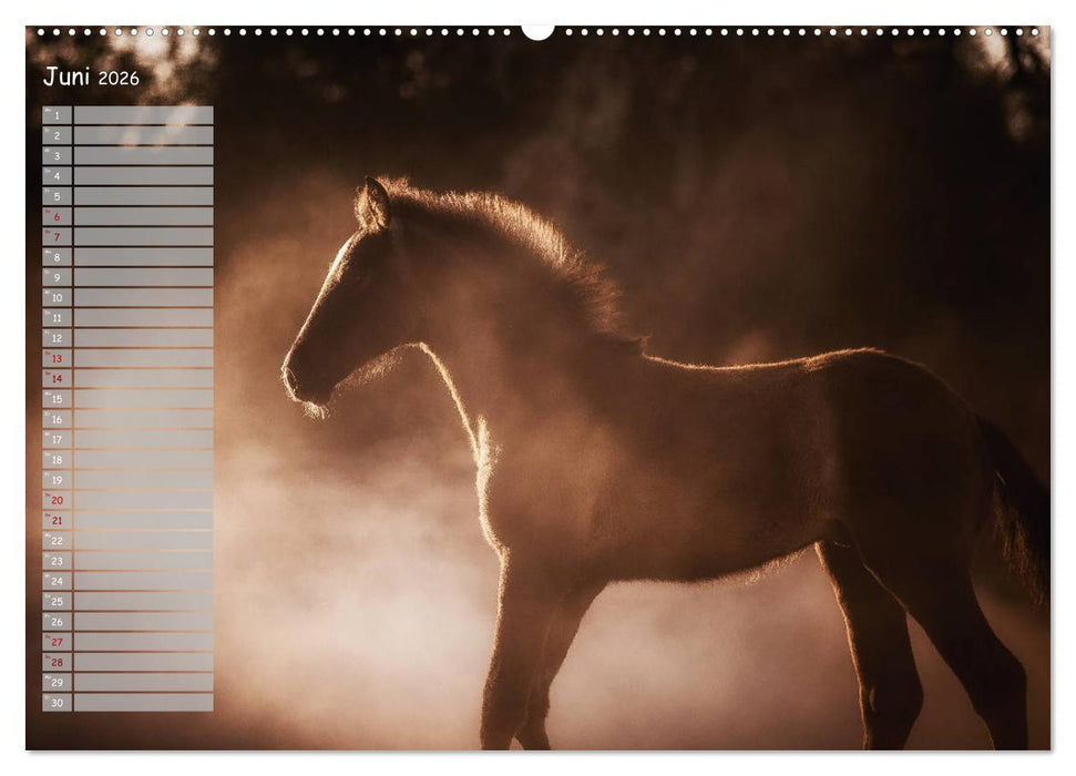 Pferde - Spiegel deiner Seele (CALVENDO Wandkalender 2026)