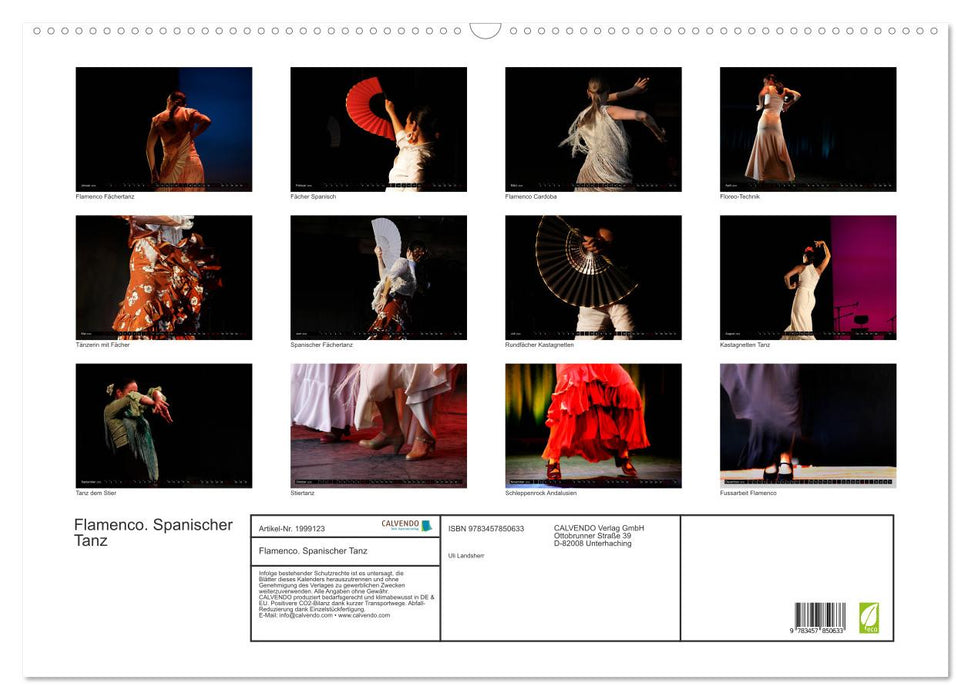Flamenco. Spanischer Tanz (CALVENDO Wandkalender 2026)