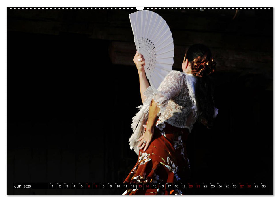 Flamenco. Spanischer Tanz (CALVENDO Wandkalender 2026)
