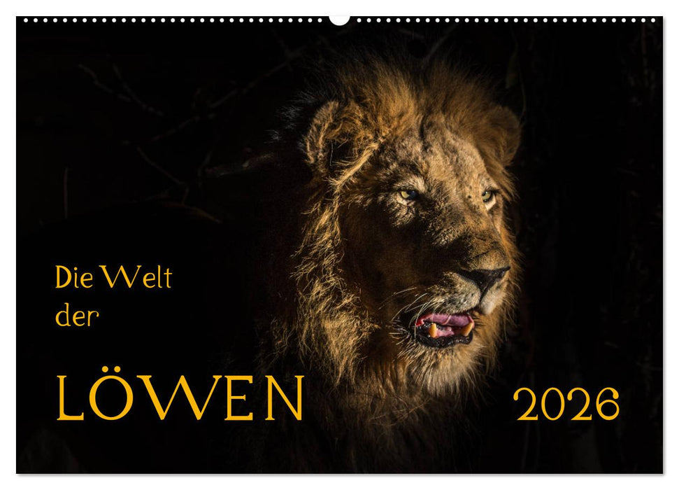 Die Welt der Löwen (CALVENDO Wandkalender 2026)