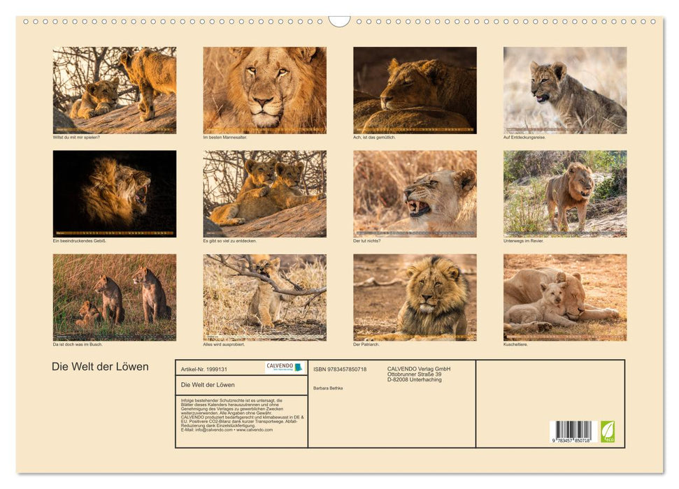 Die Welt der Löwen (CALVENDO Wandkalender 2026)